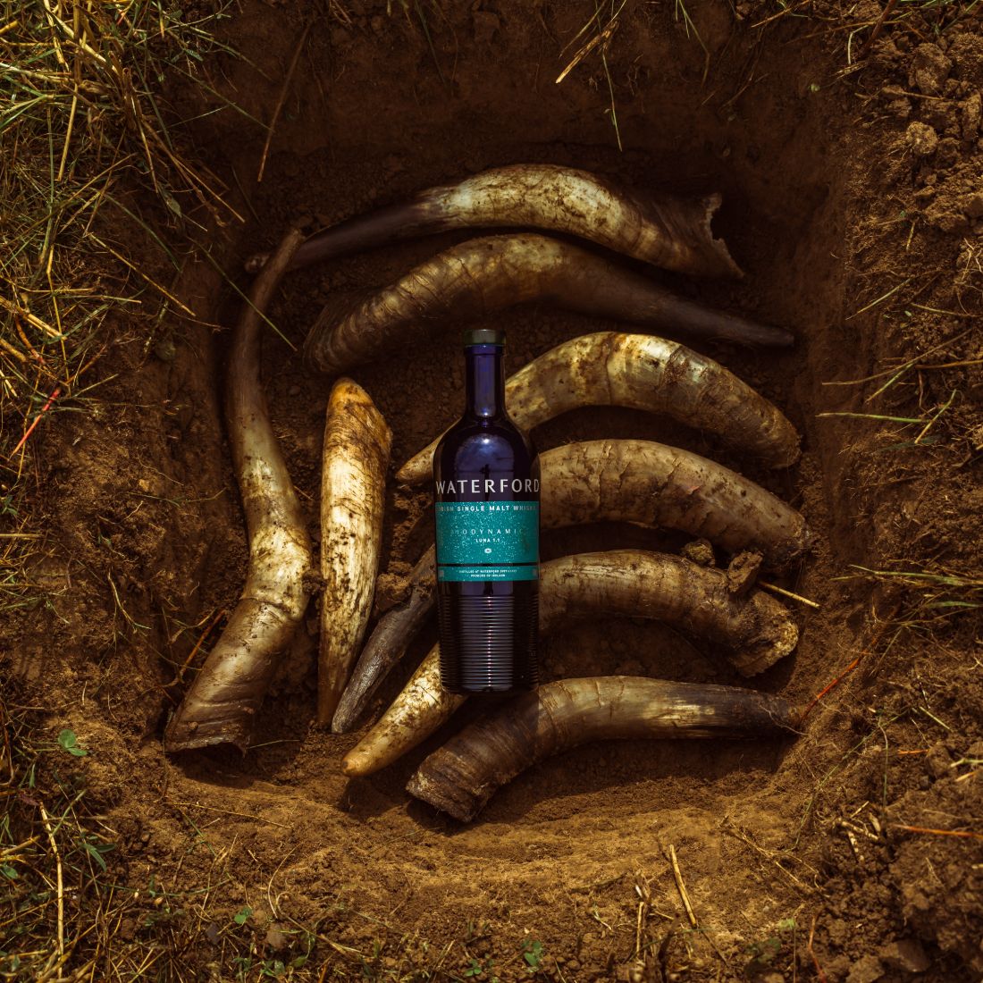 Waterford Biodynamic Luna 1.1 Single Malt Irish Whisky