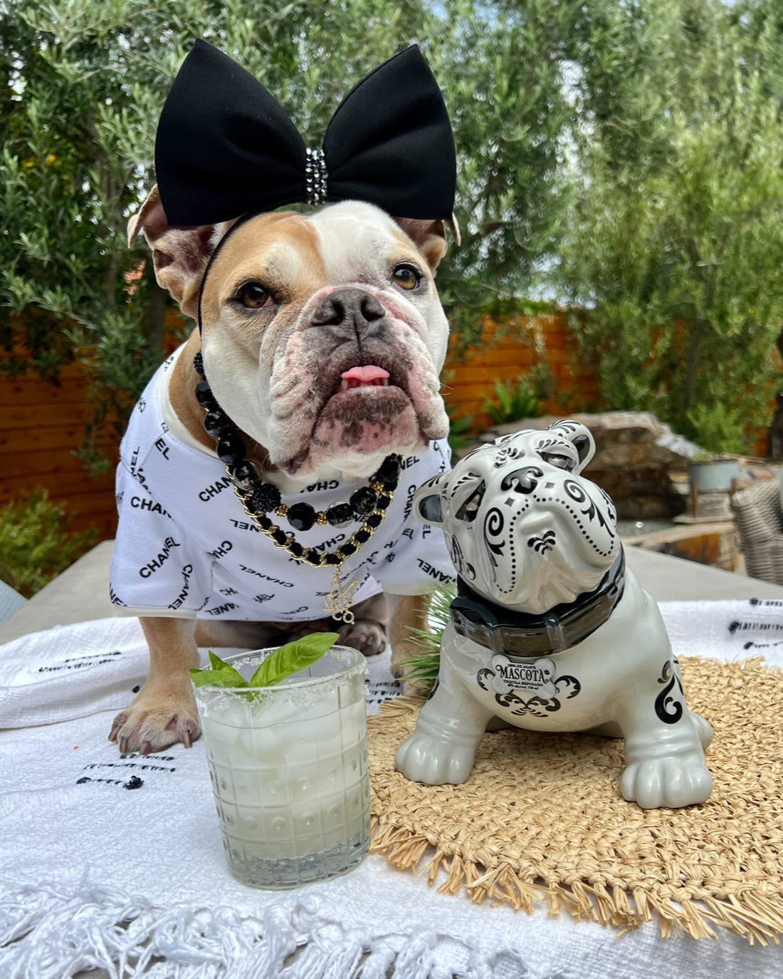 Mascota Bulldog Reposado Tequila 750ml