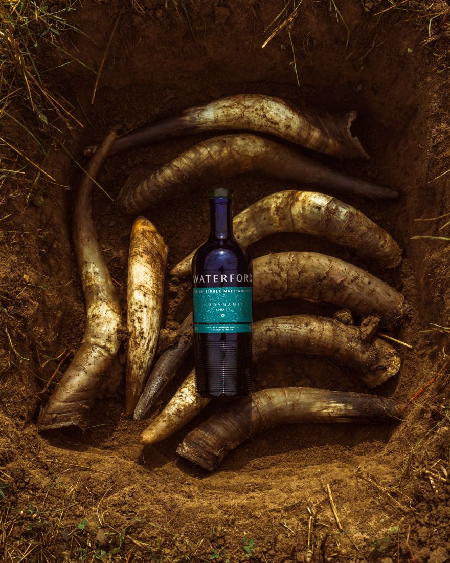 Waterford Biodynamic Luna 1.1 Single Malt Irish Whisky